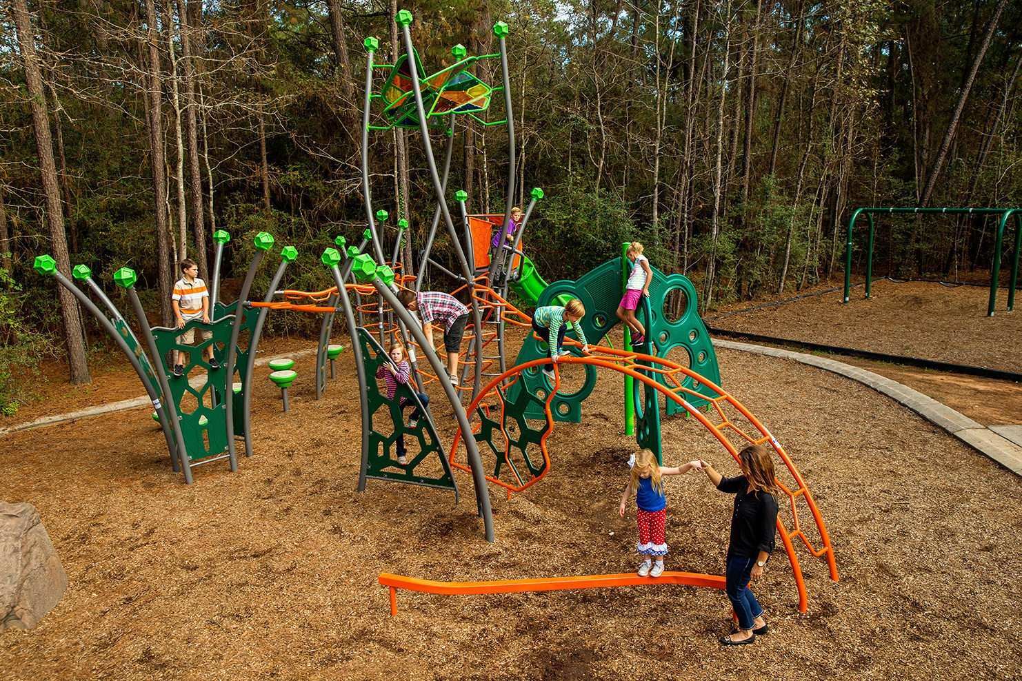 Image of a group of children playing on a playground in a wooded area