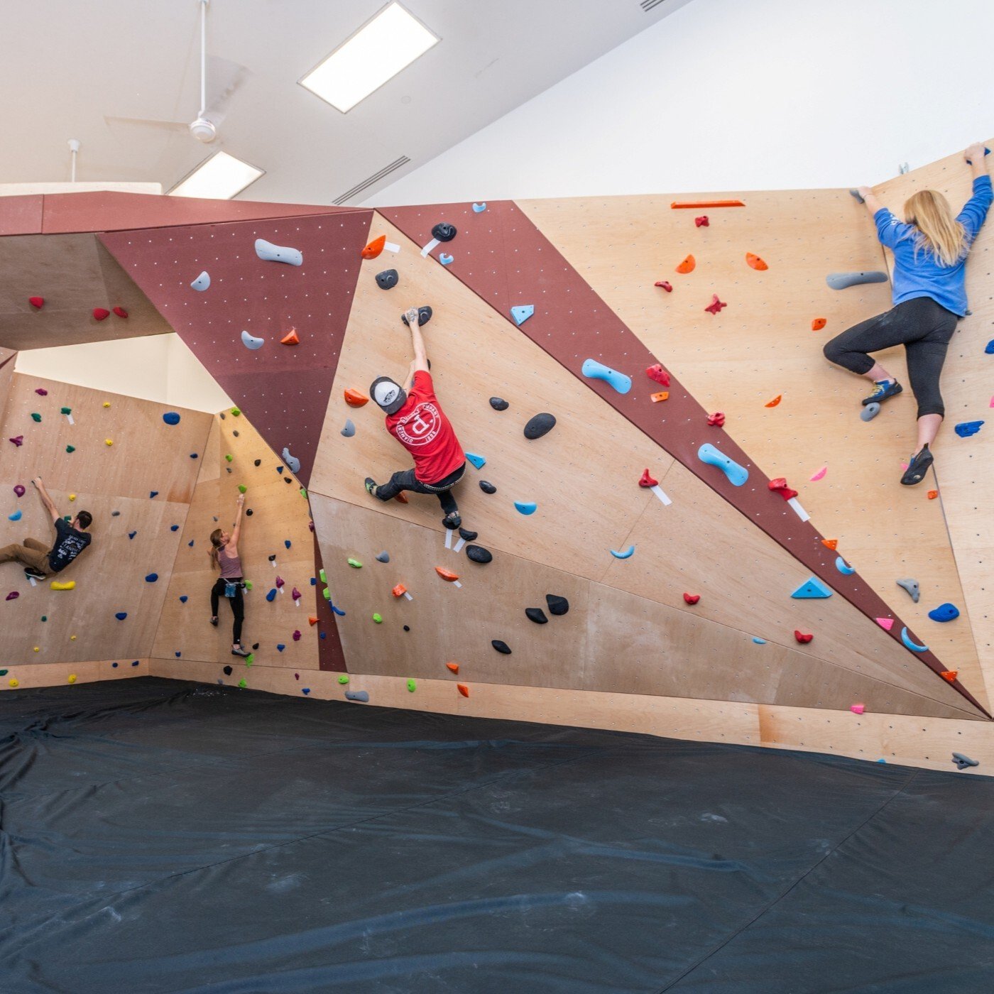 Image of multiple people climbing a rock-climbing wall