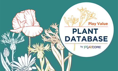 Plant-Database-Image