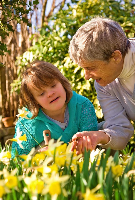 Older woman guiding a young girl with Down syndrome as they tend blooming yellow daffodils together in a sunlit garden.