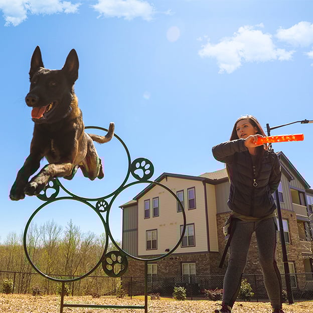Dog%20parks
