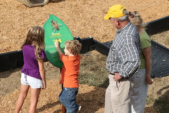 Two children looking at a sign that discusses bees. Two elderly people stand behind the children and look at the sign as well