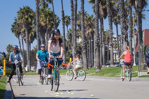 A group of people biking down a sidewalk with palm trees and more people riding bikes in the background