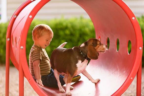 Dog-with-Kid_Image-Grid