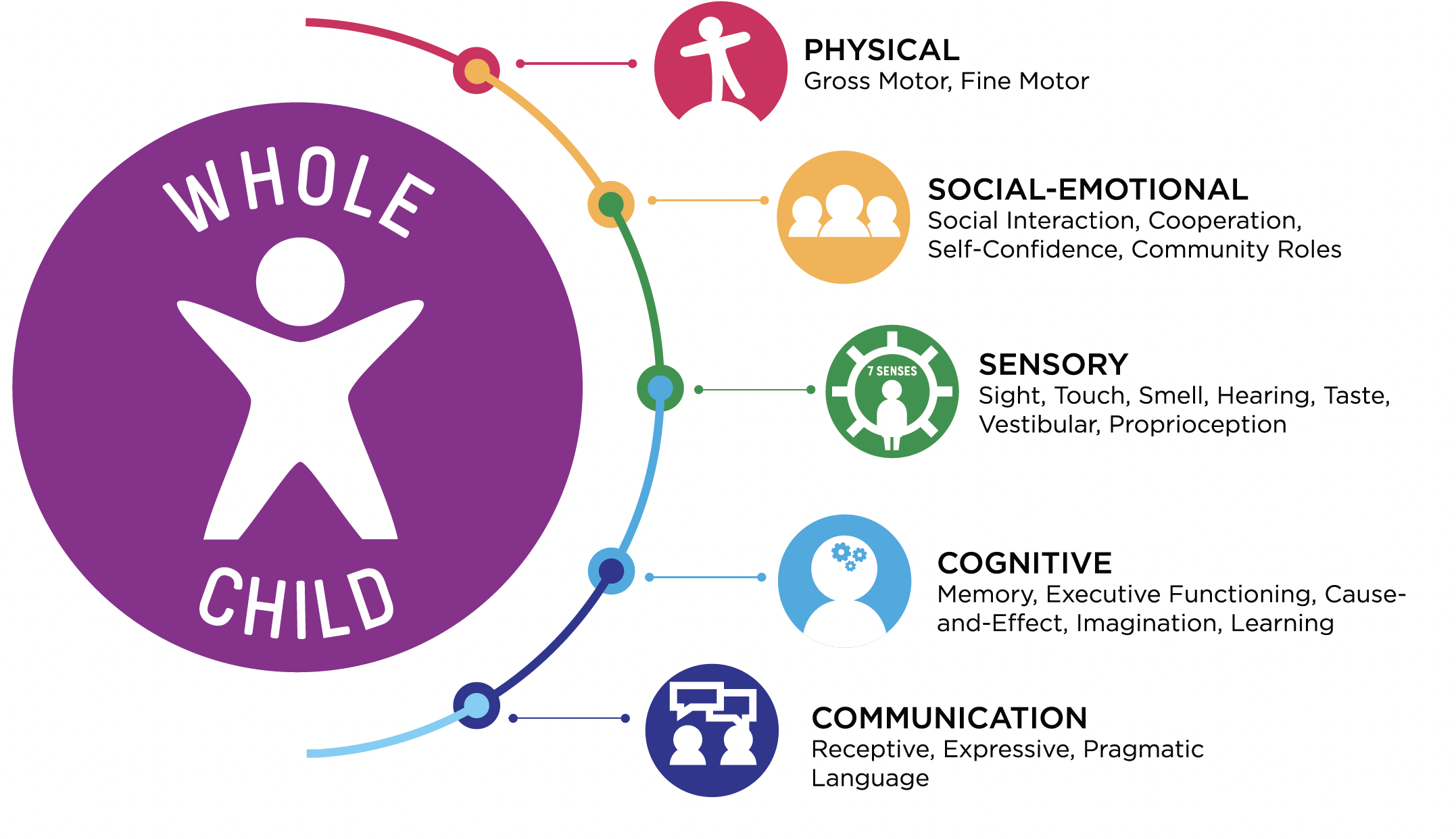 whole child graphic