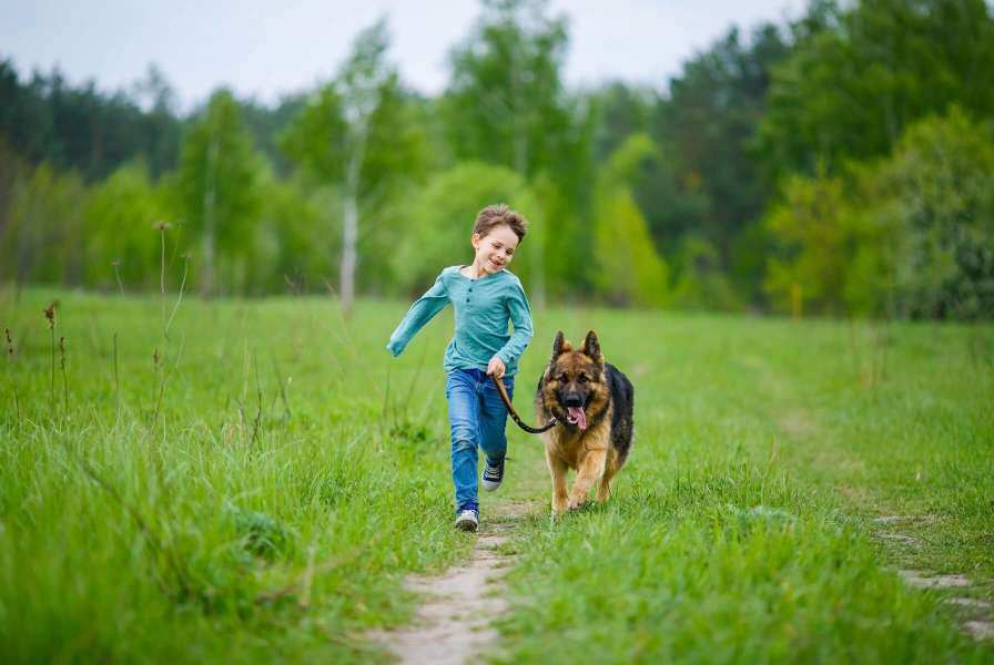 A young child running along a dirt path in a field while holding the leash of a large dog