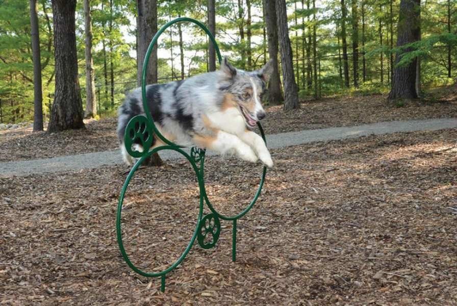 Charlies bark park 3 1