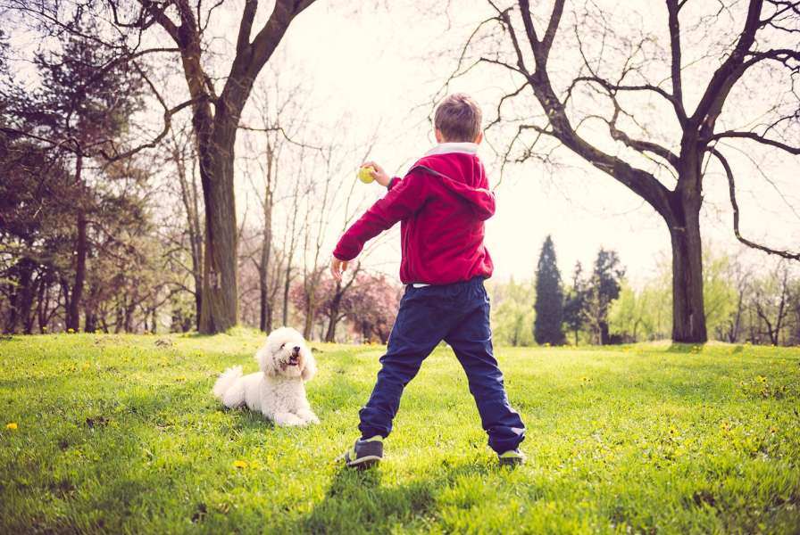 Child and dog playing at park 2