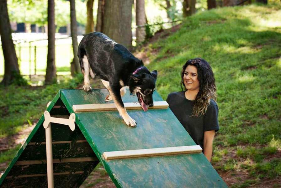 Clark park bark park renee