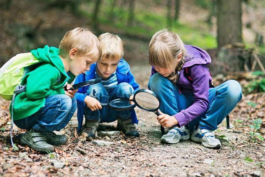 Discovering the mysteries of nature 3