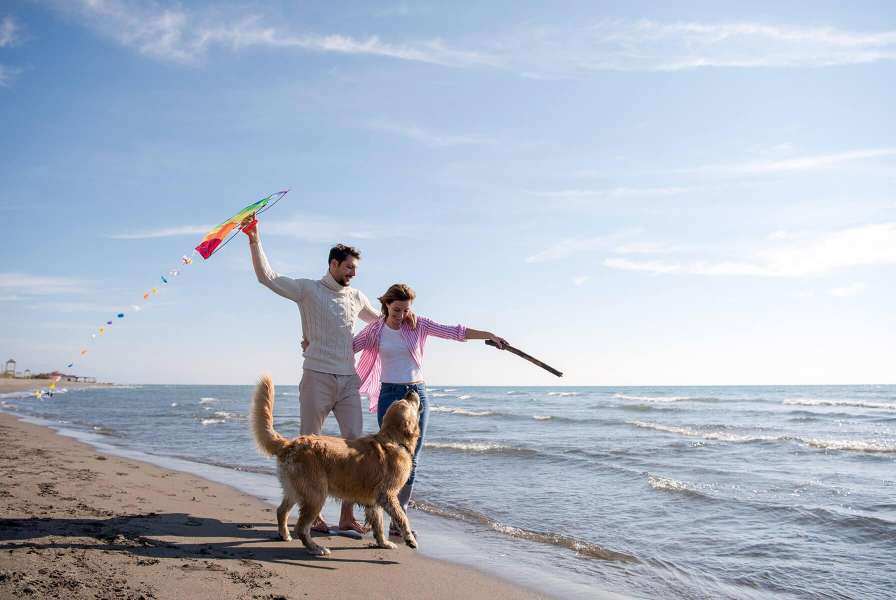 Happy couple walking along the beach with their dog; the man is flying a colorful kite while the woman plays with the dog using a stick.