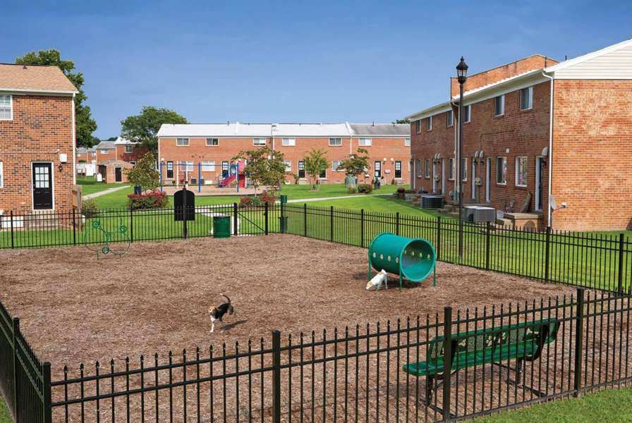 A dog playing in a dog park next to an apartment complex