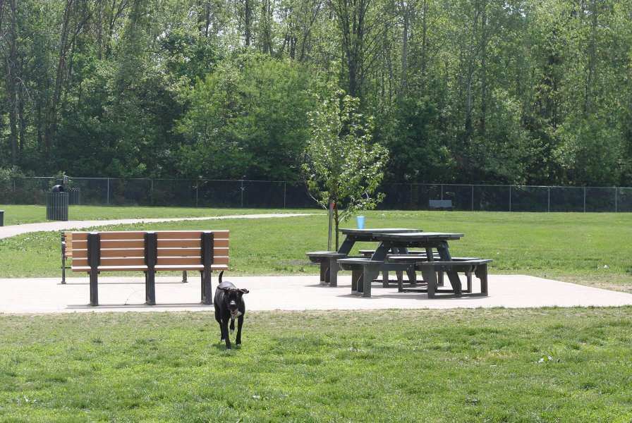 Pizzurro park gahanna oh 1