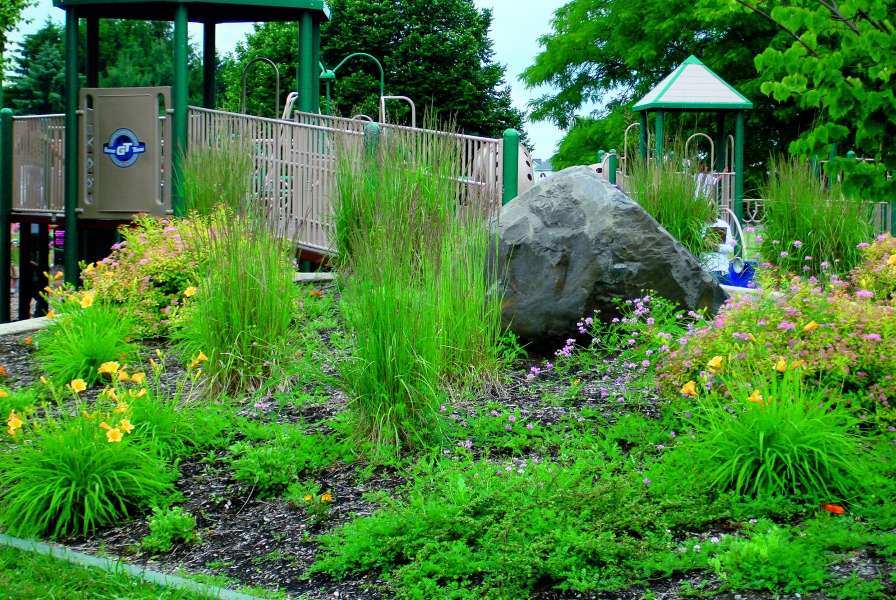 Various vibrant green plants in a playground park