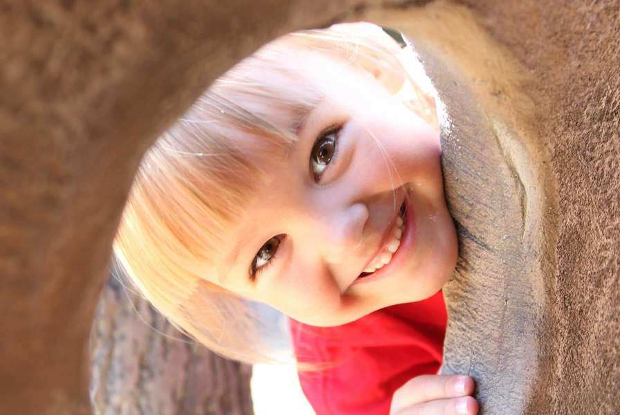 Smiling child peeking through playground equipment.