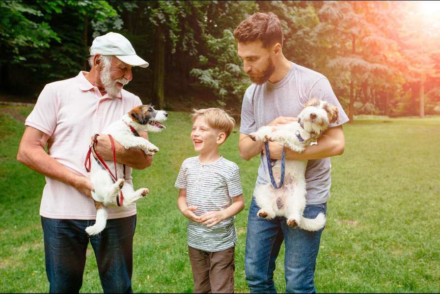 Family walking with dog news blog resized 1
